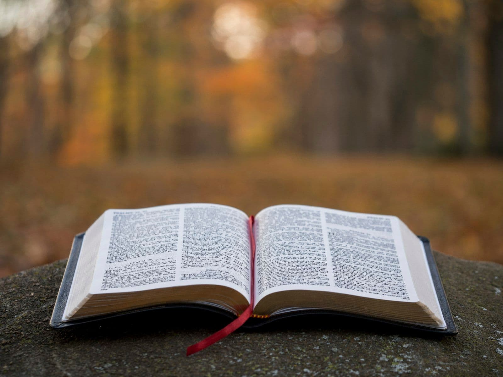 The Gospel of John: That You May Believe