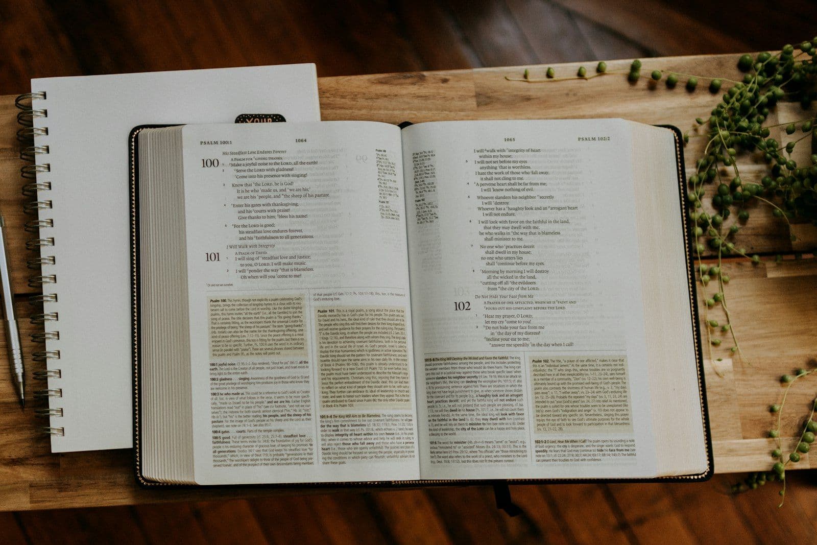 Discipleship