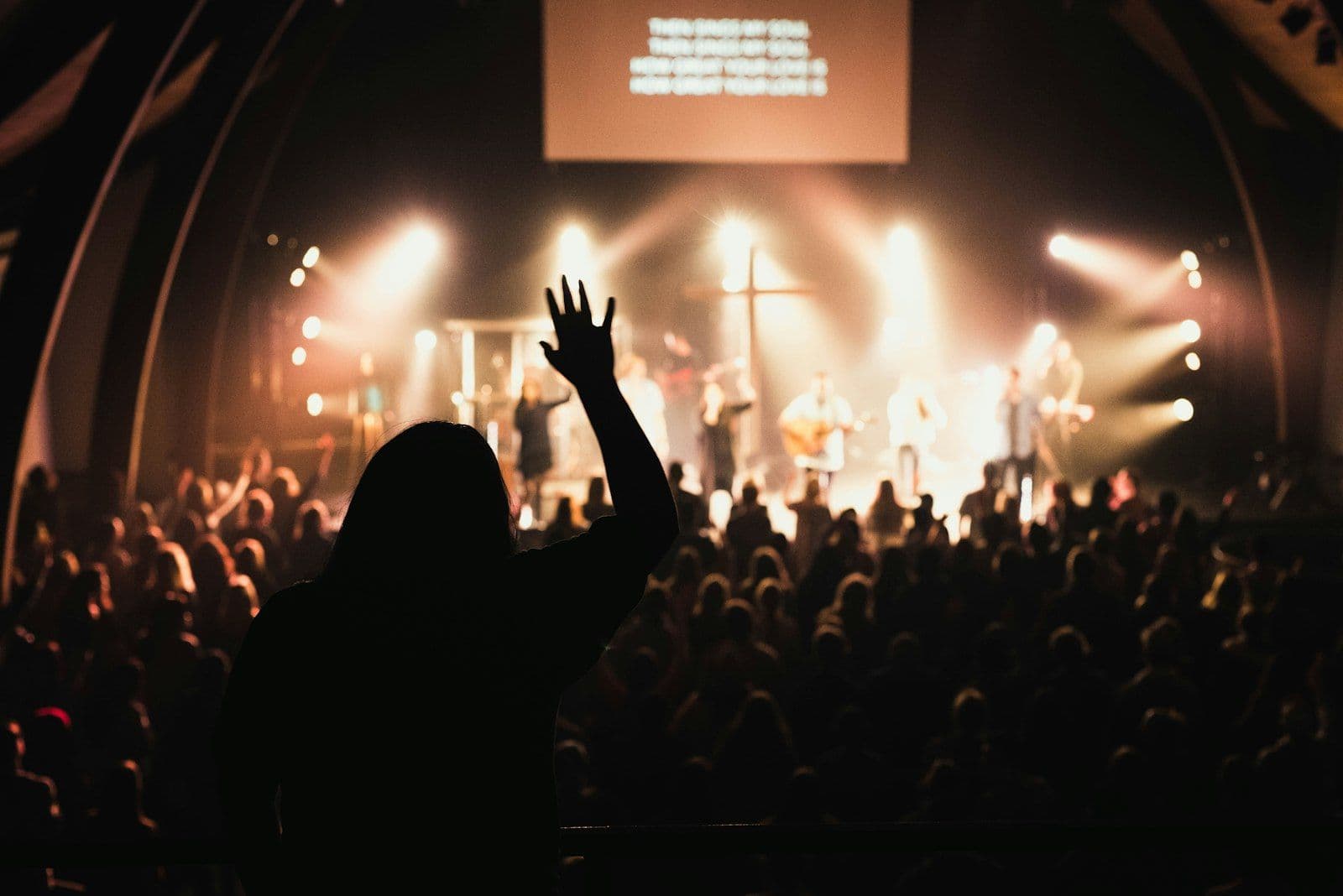 Summer Revival Nights