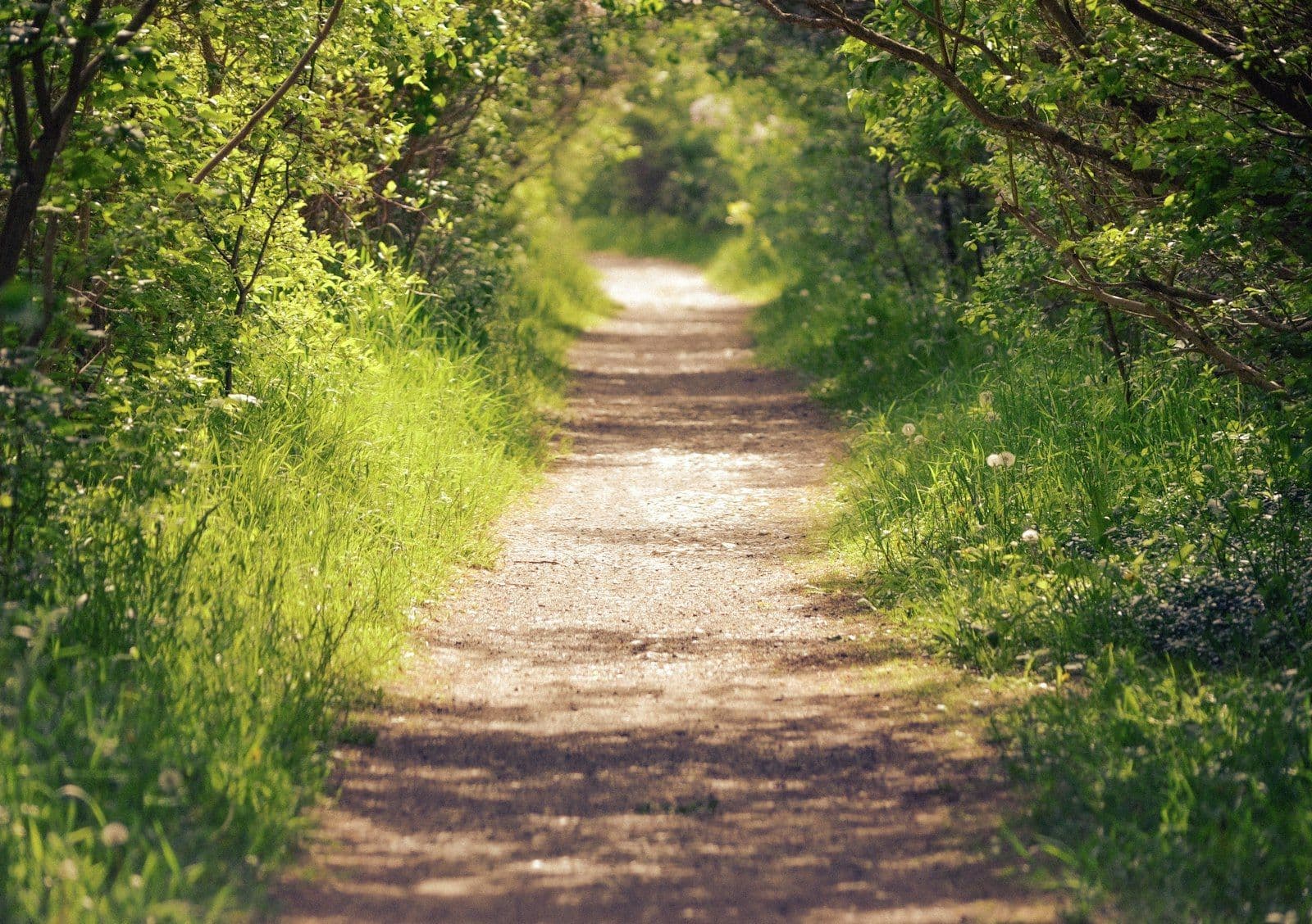 Walking in the Spirit