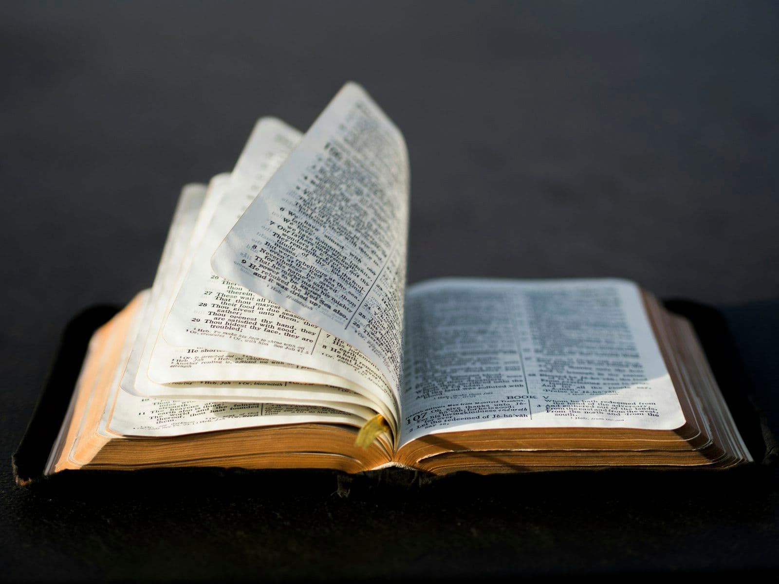 The Word Buried Deep: An Armory Against Sin