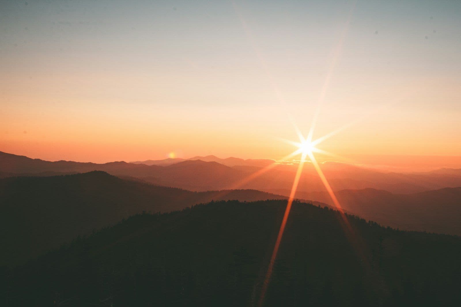 Delight In God, Not The World